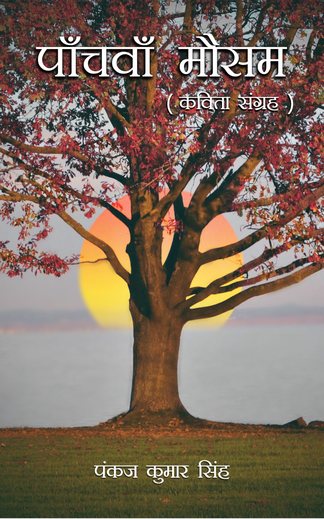 Techip Infotech Pvt Ltd